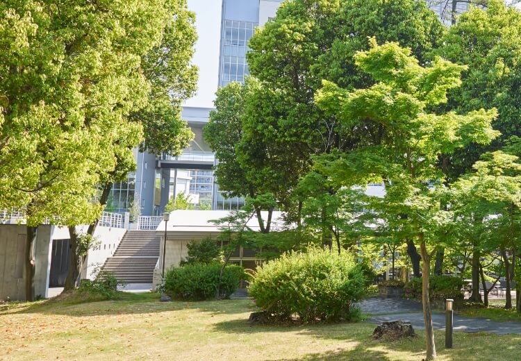 学校法人谷岡学園大阪緑涼高等学校_導入事例_ウルトラワイド超短焦点プロジェクター「ワイード」
