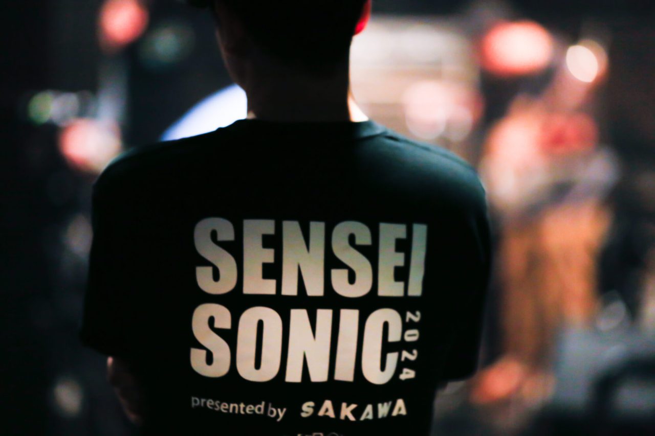 先生ソニックイメージカット